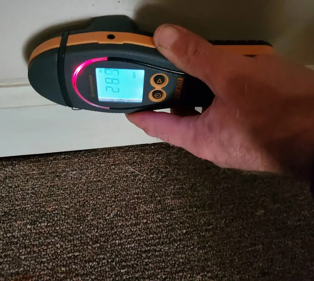 Moisture detection at baseboard during Sewage Cleanup & Sanitation in Keizer
